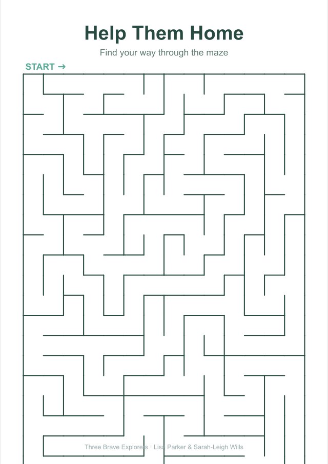 Maze: Help Them Home